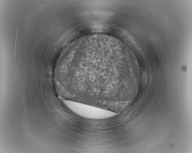 X0000093120557200710241305
