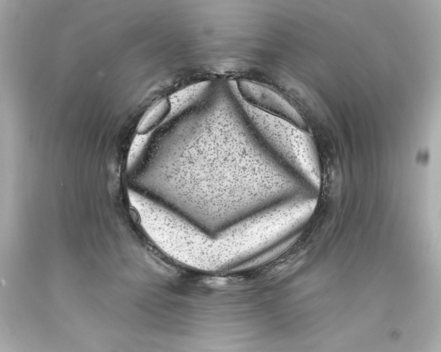 X0000093120558200710241305