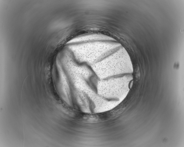X0000093120559200710241305