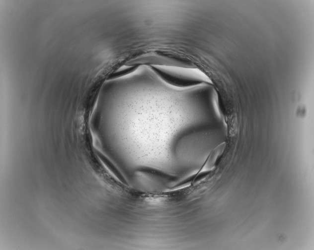 X0000093120560200710241305