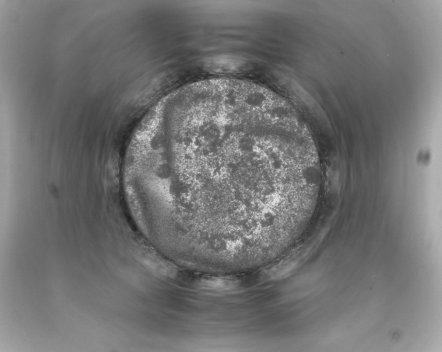 X0000093120561200710241305