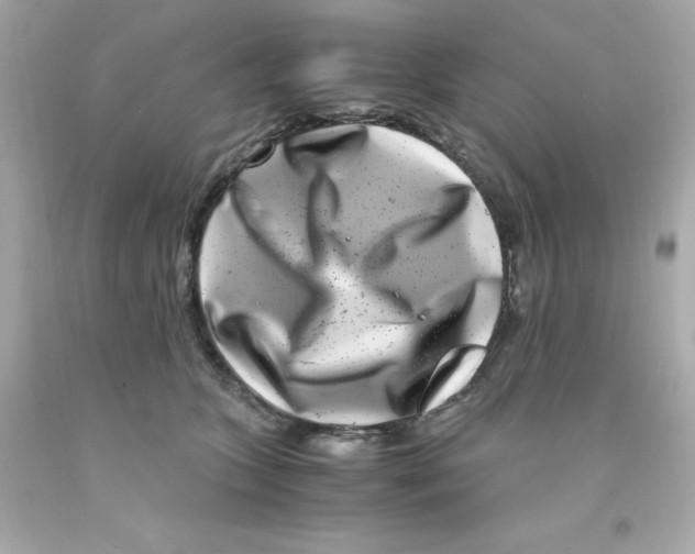 X0000093120563200710241305