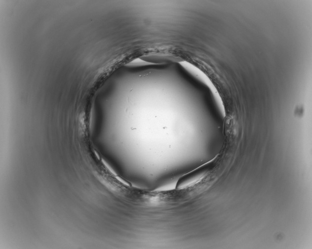 X0000093120564200710241305