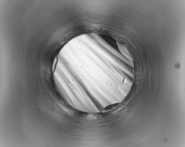 X0000093120566200710241305