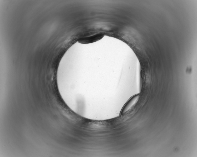 X0000093120567200710241305