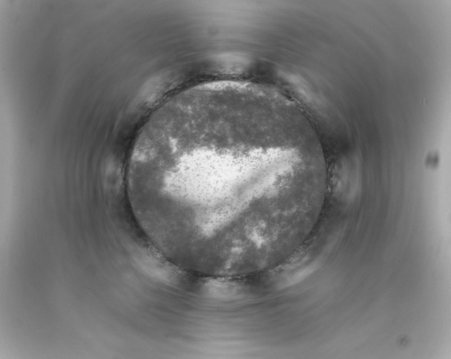 X0000093120568200710241305
