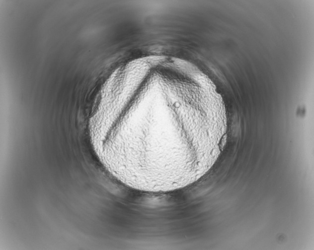 X0000093120569200710241305