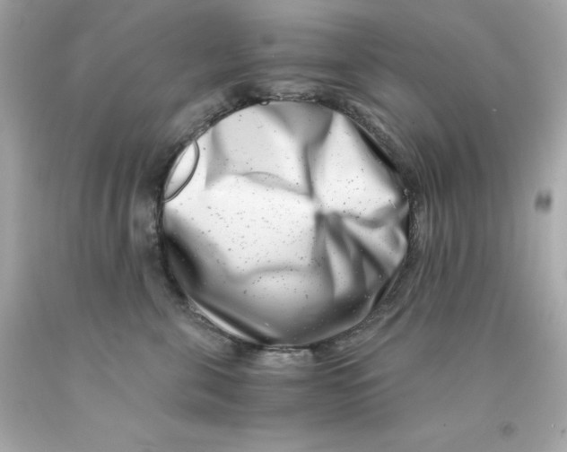X0000093120571200710241305