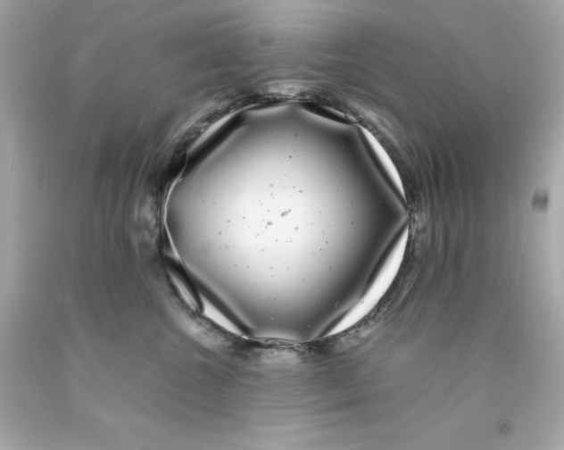 X0000093120572200710241305