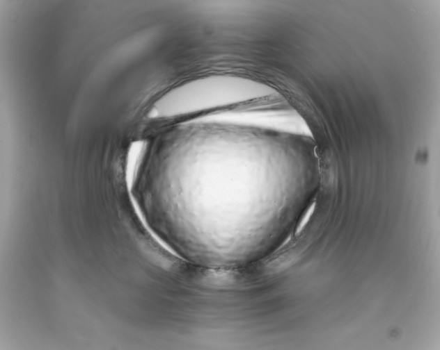 X0000093120573200710241305