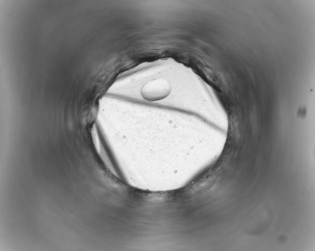 X0000093120574200710241305