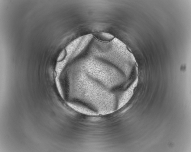 X0000093120575200710241305