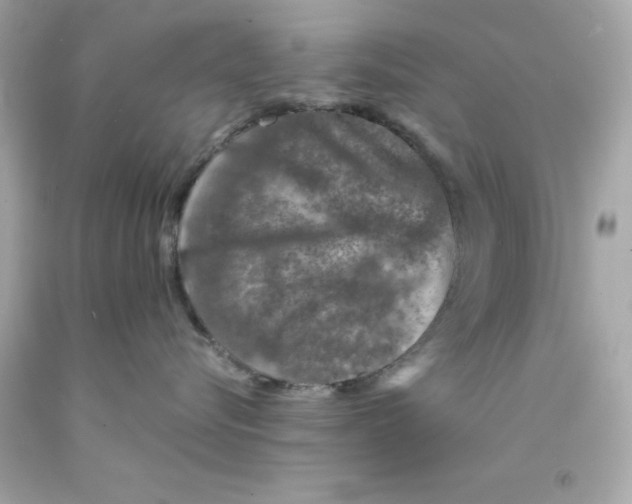 X0000093120576200710241305