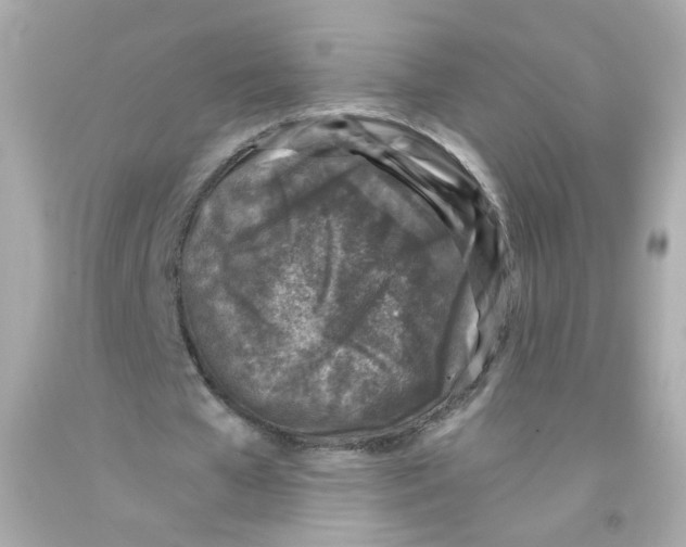X0000093120577200710241304