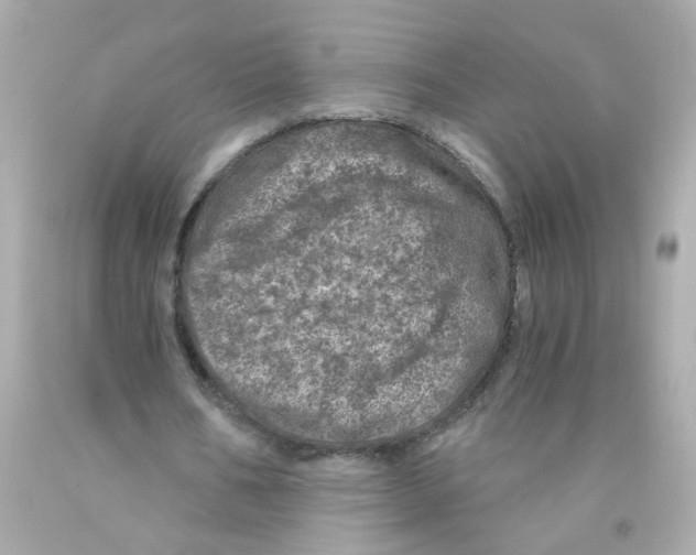 X0000093120578200710241304