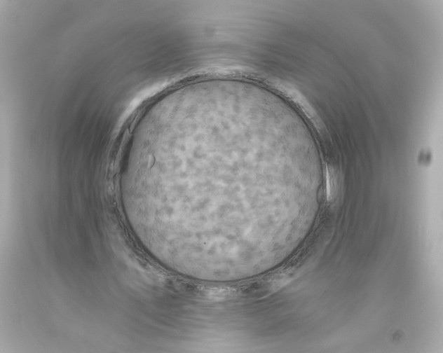 X0000093120579200710241304
