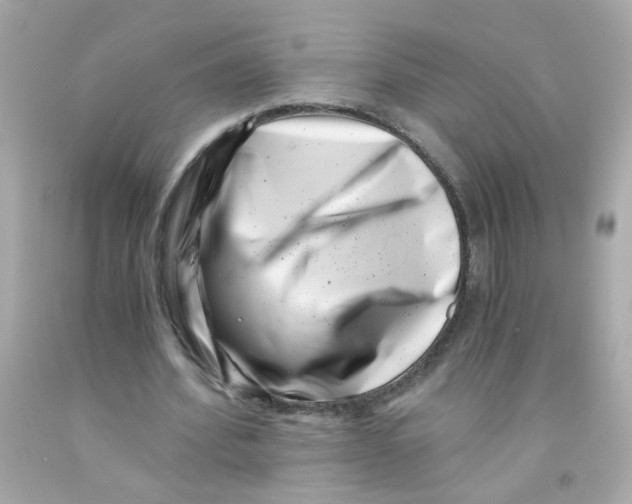 X0000093120580200710241304