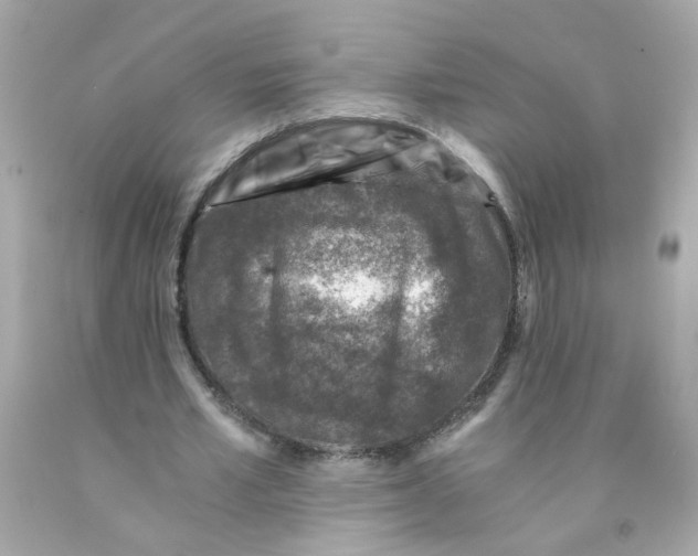 X0000093120581200710241304
