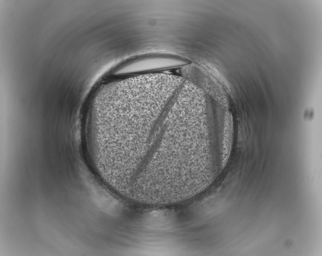 X0000093120584200710241304
