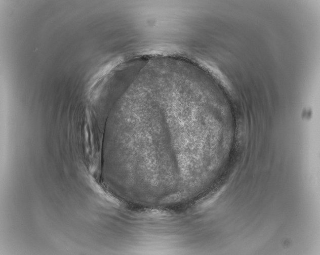 X0000093120585200710241304