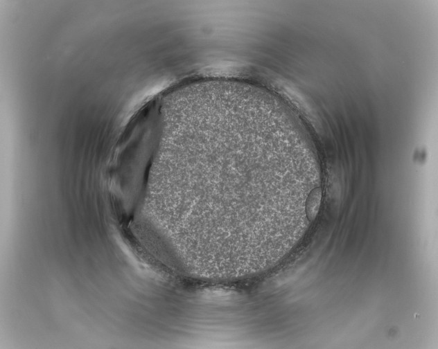X0000093120586200710241304