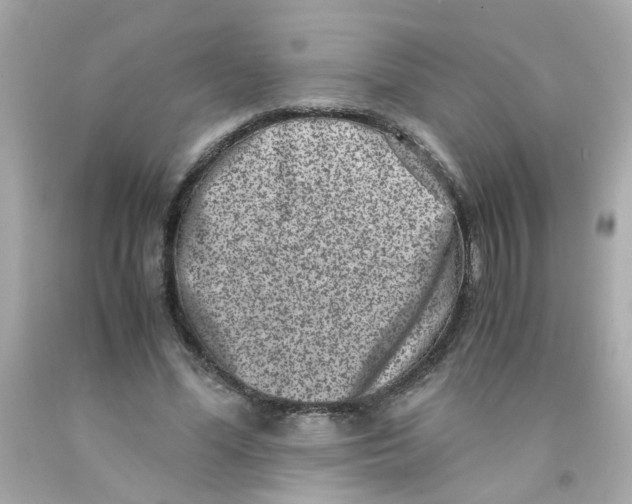 X0000093120588200710241304