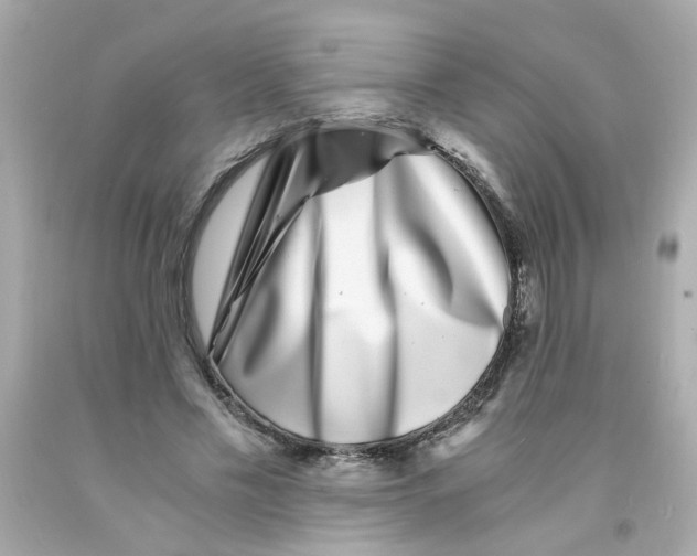 X0000093120589200710241304