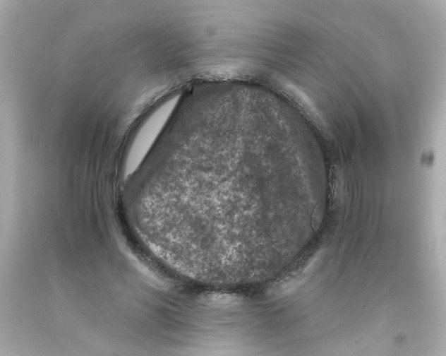 X0000093120590200710241304