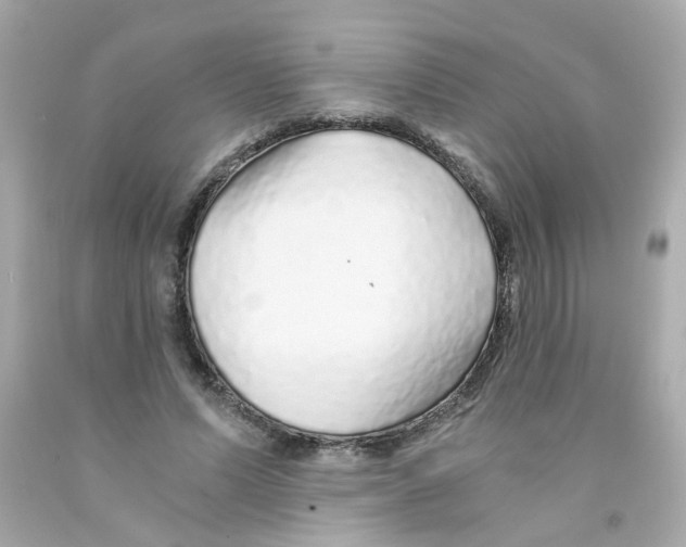 X0000093120591200710241304