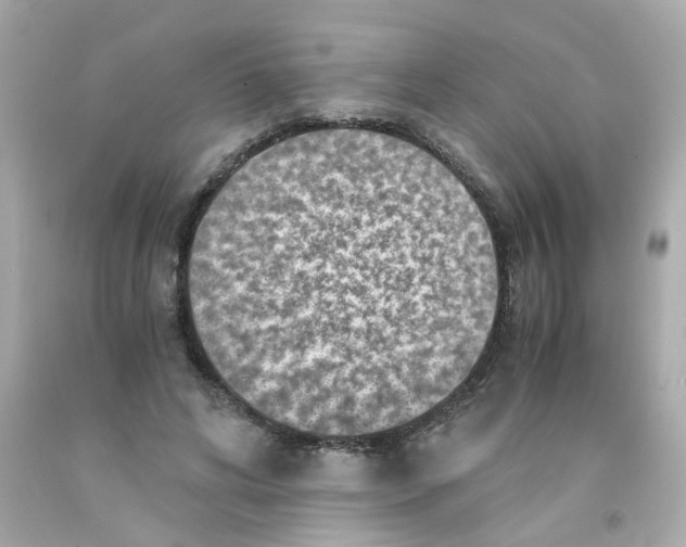 X0000093120592200710241304