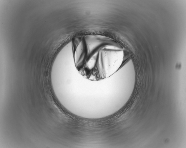 X0000093120593200710241304