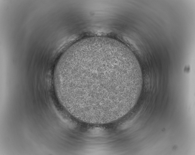 X0000093120594200710241304