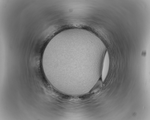 X0000093120595200710241304