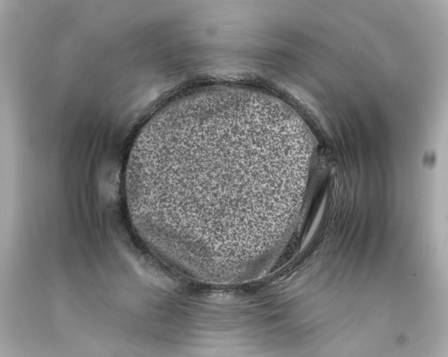 X0000093120596200710241304