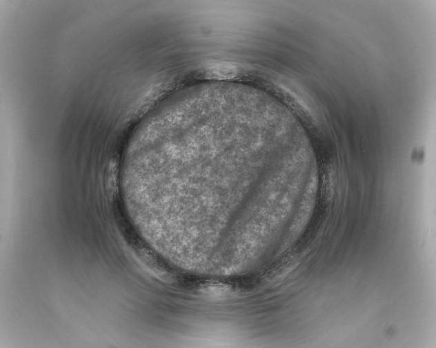 X0000093120598200710241304