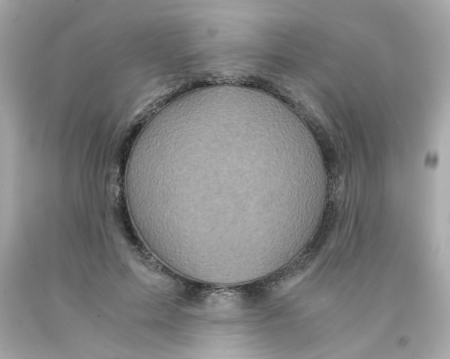 X0000093120599200710241304