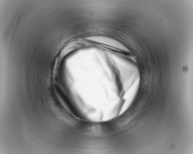 X0000093120600200710241304