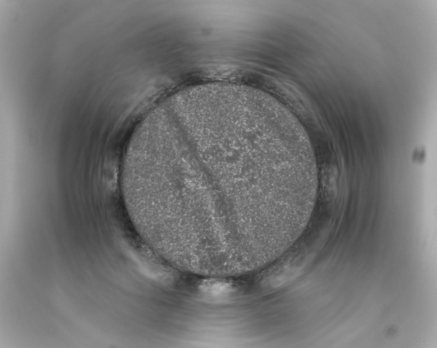 X0000093120602200710241304