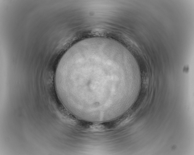 X0000093120603200710241304