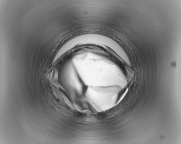 X0000093120604200710241304
