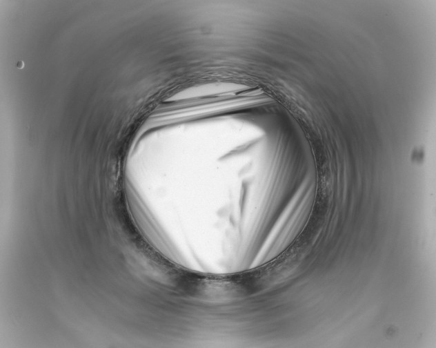 X0000093120605200710241304