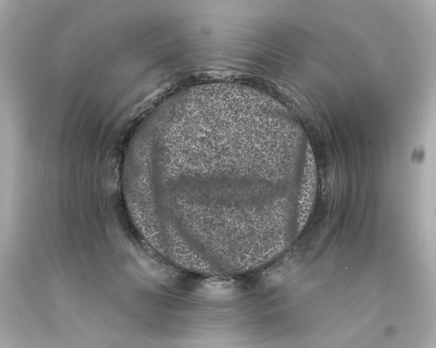 X0000093120606200710241304