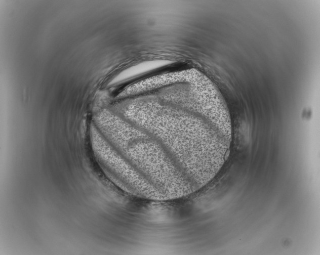 X0000093120608200710241304