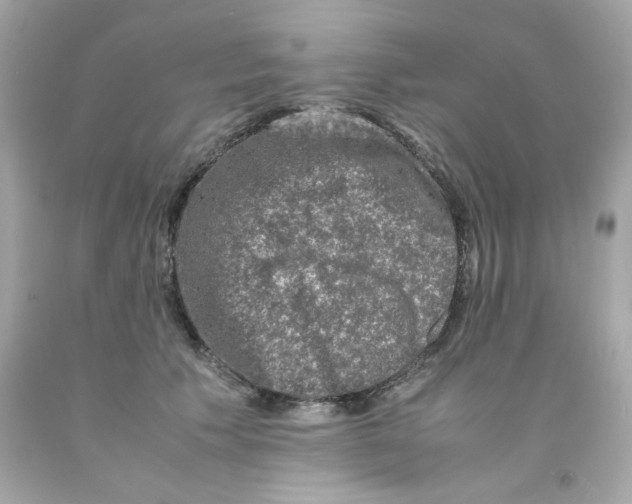 X0000093120609200710241304
