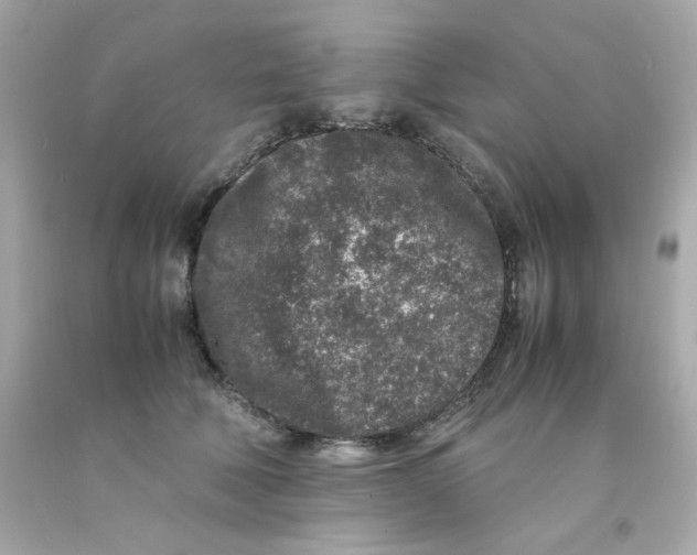 X0000093120610200710241304