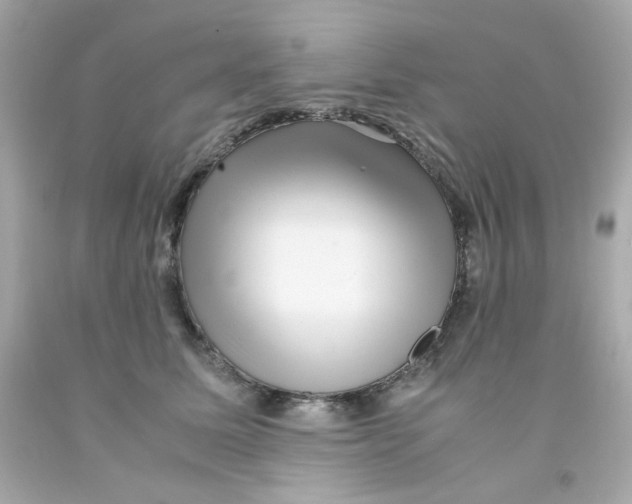 X0000093120611200710241304