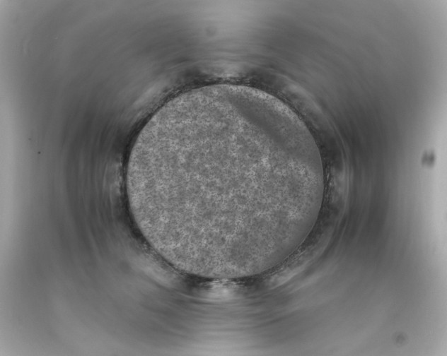 X0000093120612200710241304