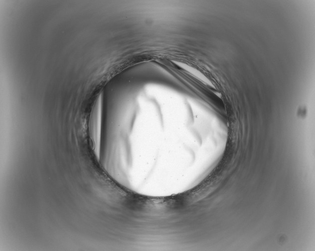 X0000093120613200710241304