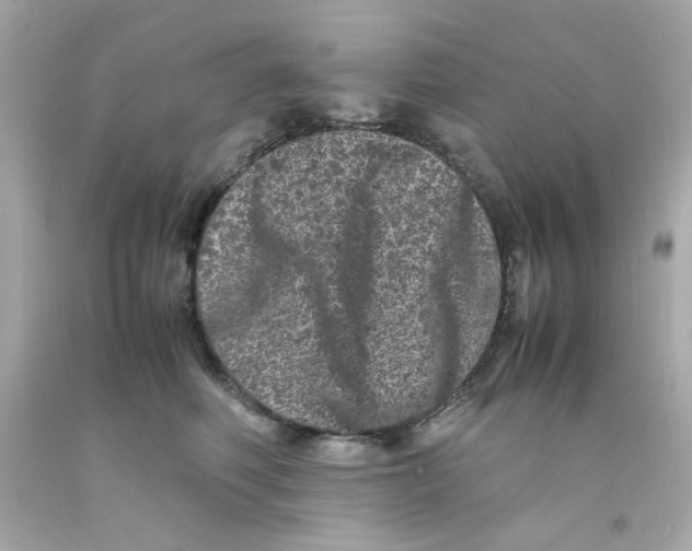 X0000093120614200710241304
