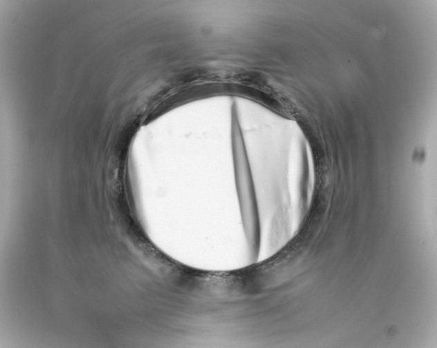 X0000093120615200710241304